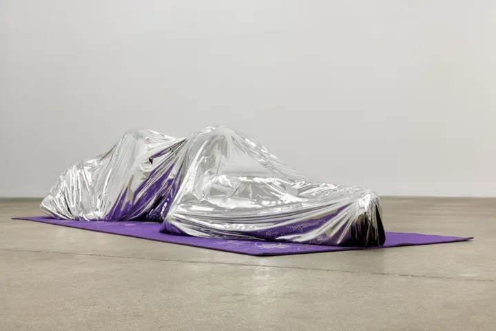 Cold as Ice. Kälte in Kunst und Gesellschaft