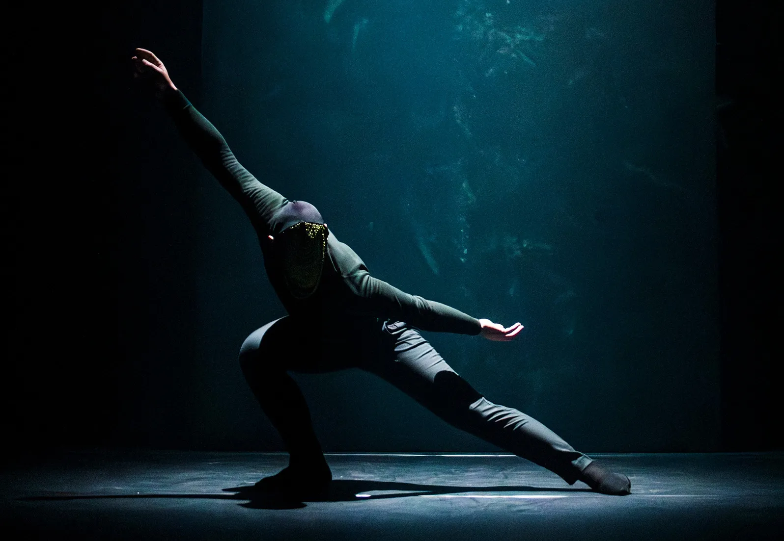 Raiz und Wege Be-Greifen Raiz und Wege Be-Greifen